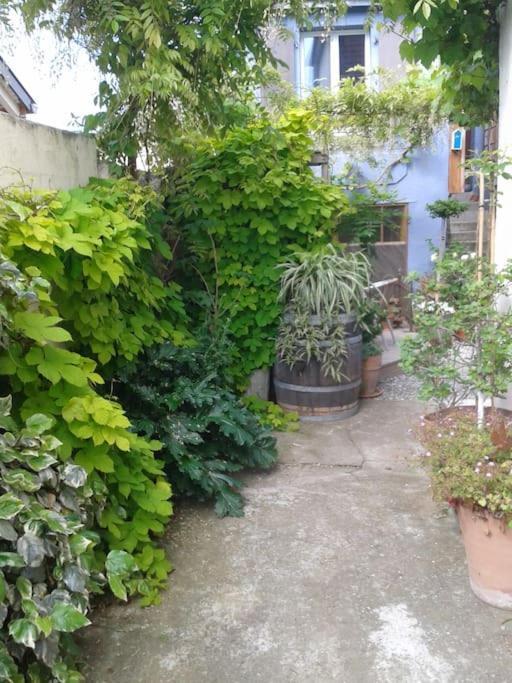 Logement Independant Colmar Exterior photo